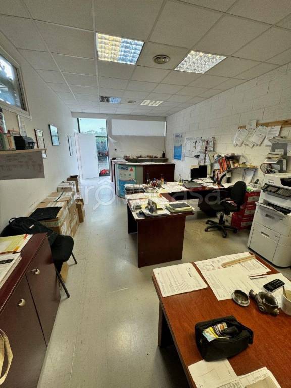 immagine annuncio 11 di 15