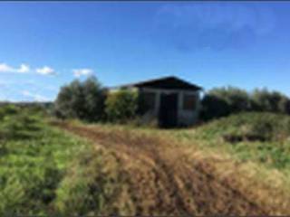 Terreno agricolo all'asta a cori via castellone