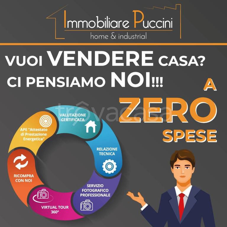 immagine annuncio 14 di 15