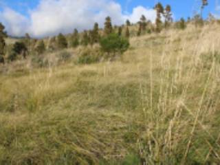 Terreno agricolo all'asta a castellammare del golfo contrada balata inici