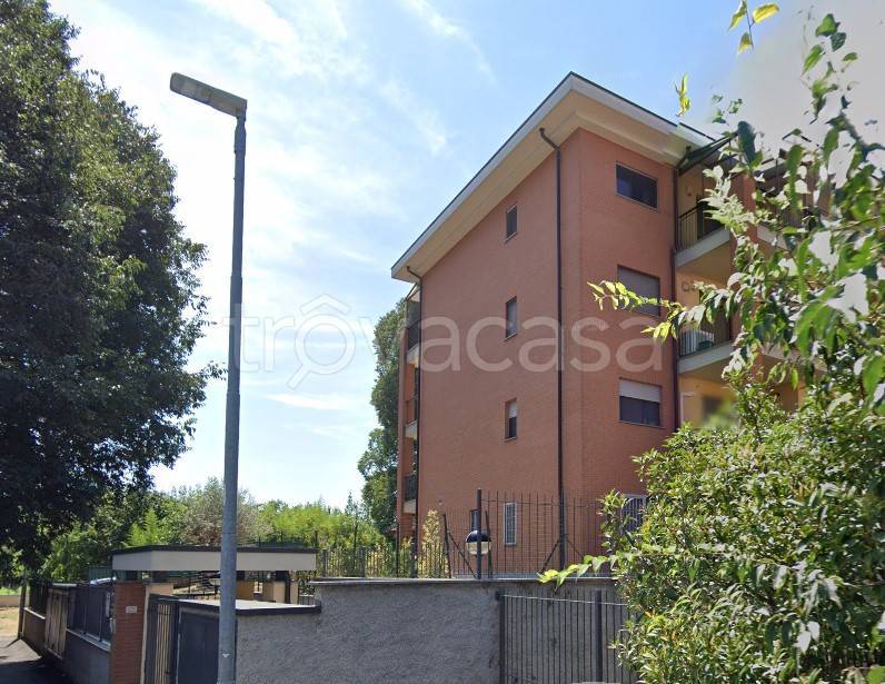 immagine annuncio 12 di 13