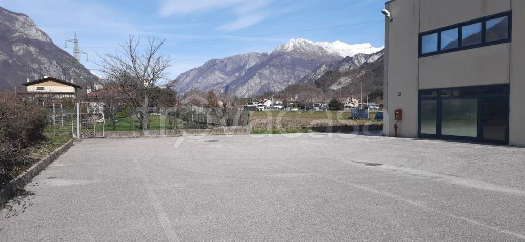 immagine annuncio 8 di 11