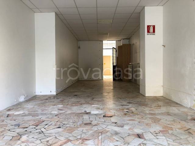 immagine annuncio 2 di 8
