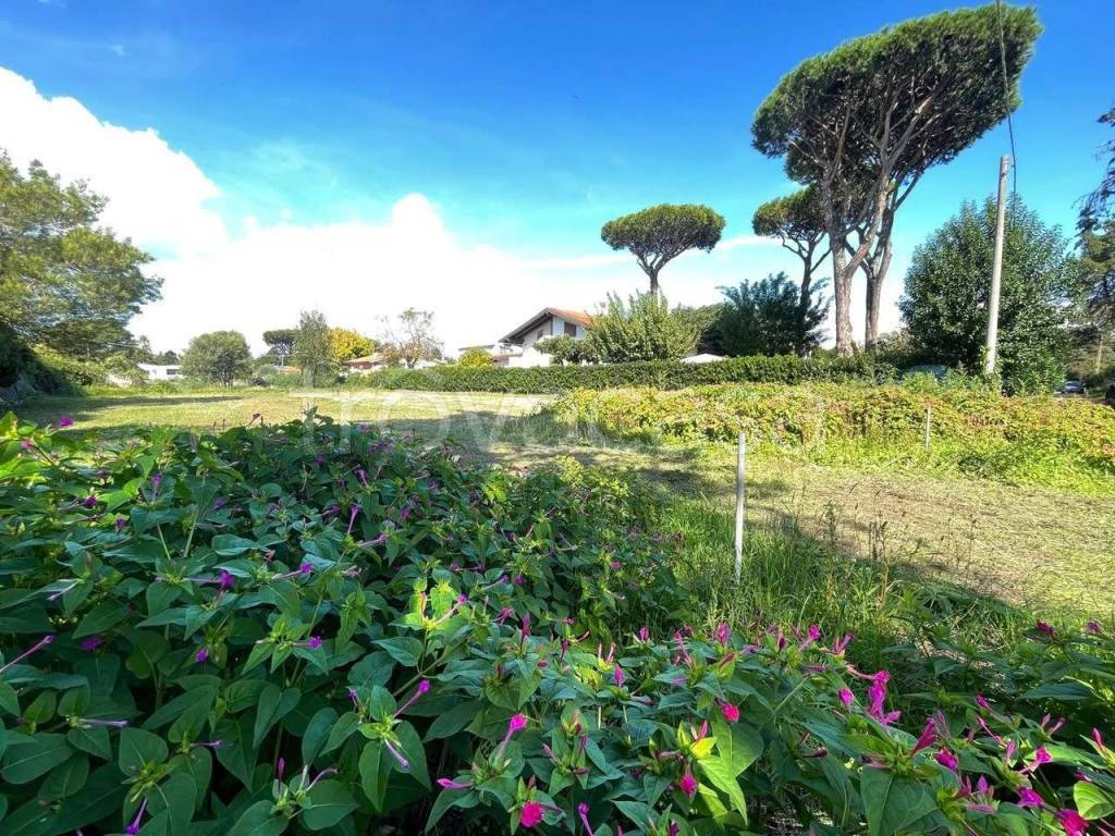 immagine annuncio 6 di 11