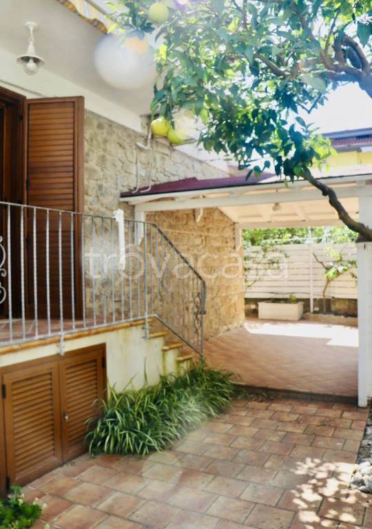 immagine annuncio 4 di 14