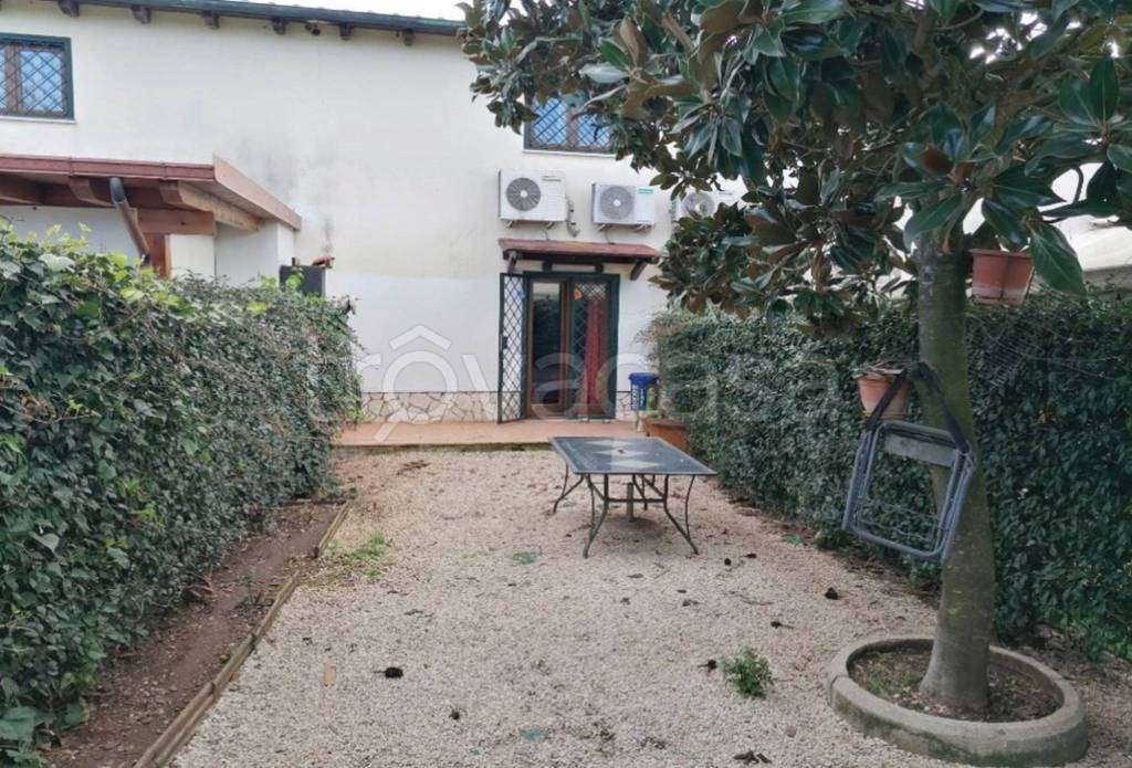 immagine annuncio 2 di 12