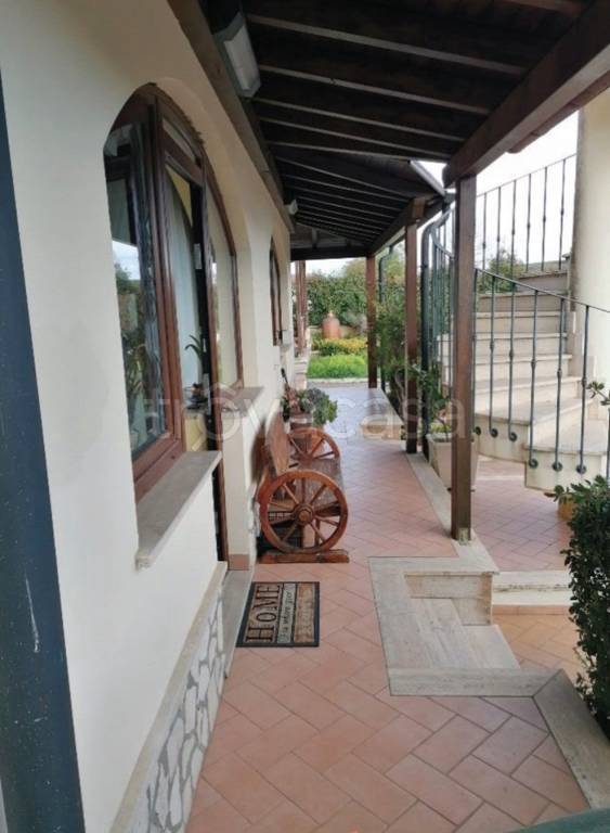 immagine annuncio 3 di 12