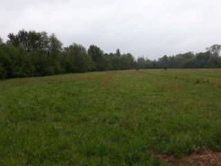 Terreno agricolo all'asta a robecchetto con induno cascina induno