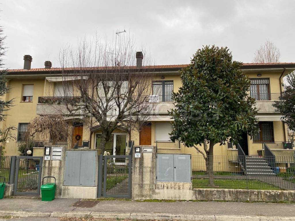 immagine annuncio 2 di 15