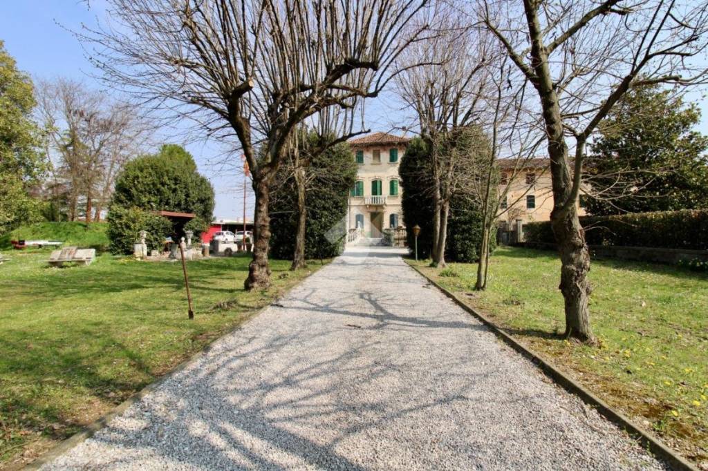 immagine annuncio 7 di 12