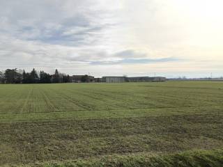 Terreno residenziale all'asta a parma strada comunale di gaione