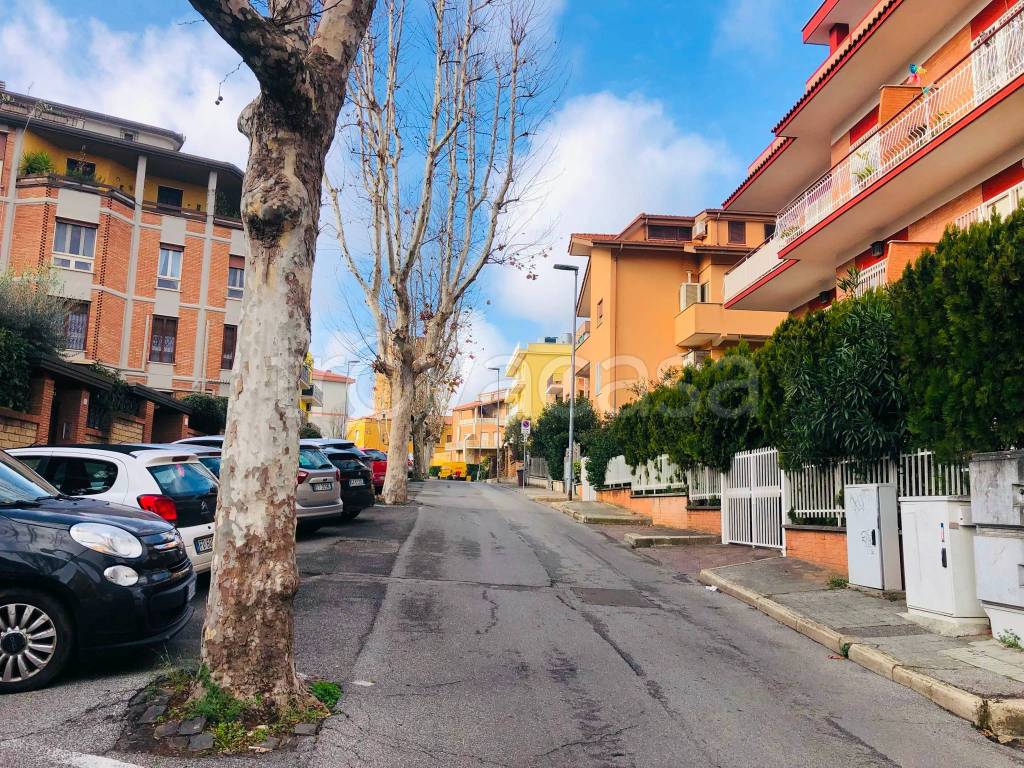 immagine annuncio 10 di 13