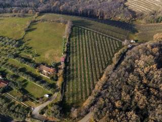 Terreno agricolo in vendita a negrar di valpolicella via maso