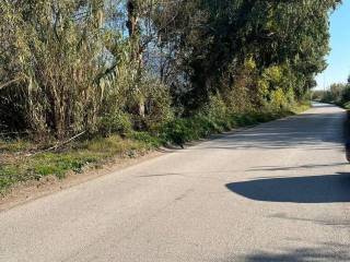 Terreno agricolo in vendita a mondragone via appia antica, 21