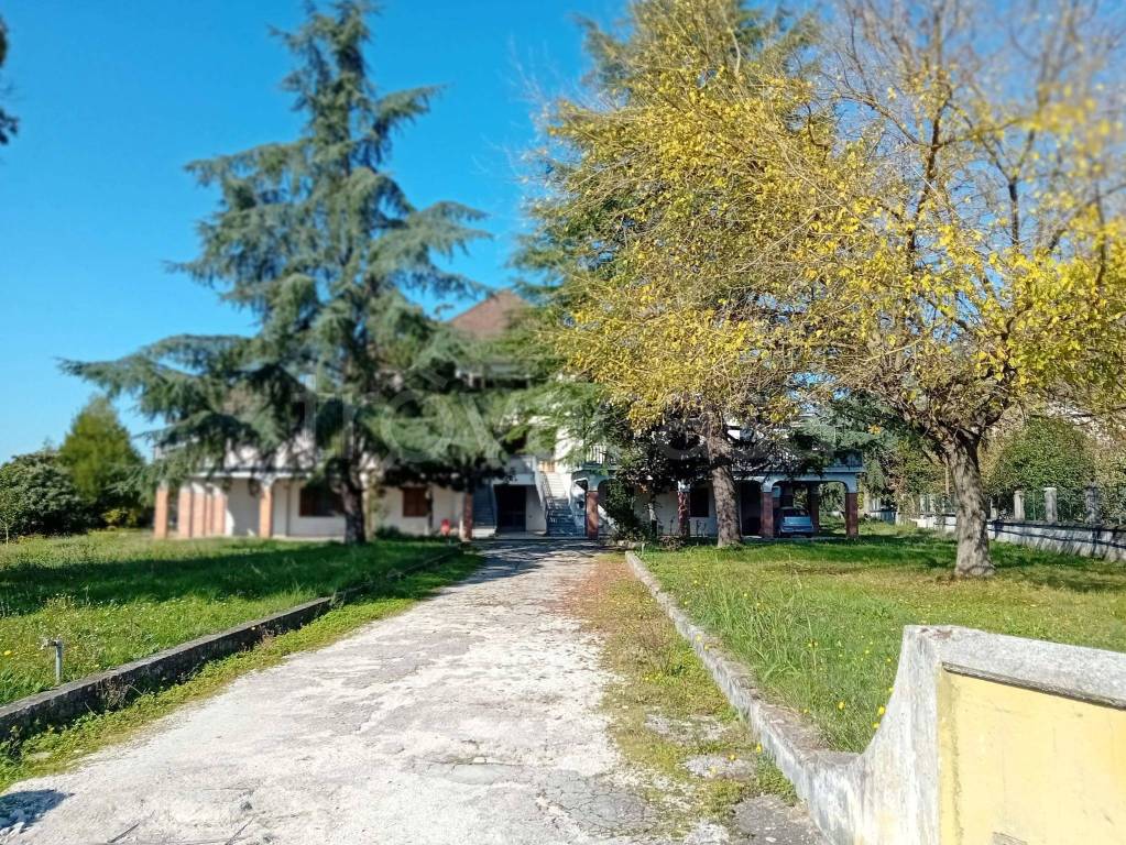 immagine annuncio 7 di 8