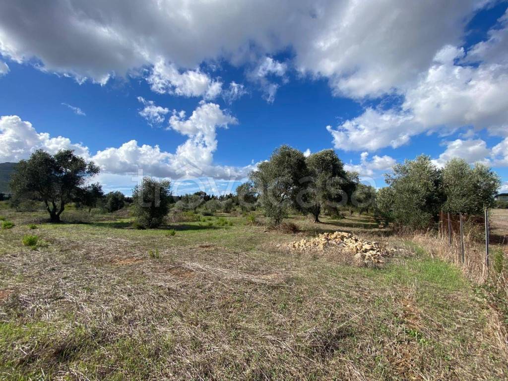 immagine annuncio 3 di 9