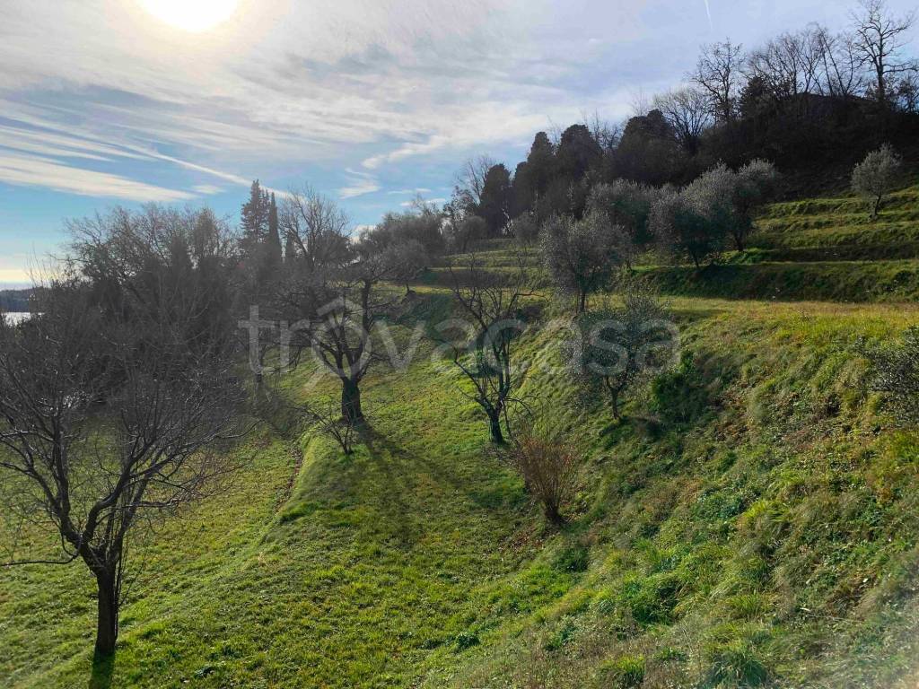 immagine annuncio 7 di 12