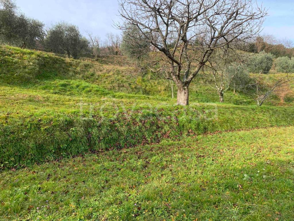 immagine annuncio 11 di 12