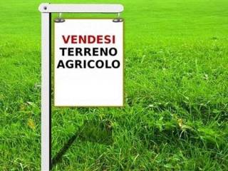 Terreno agricolo in vendita a colleferro via carpinetana sud