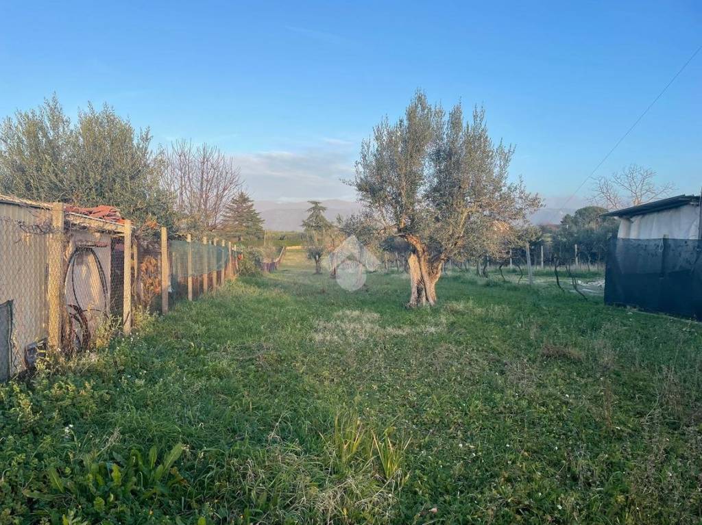 immagine annuncio 8 di 9