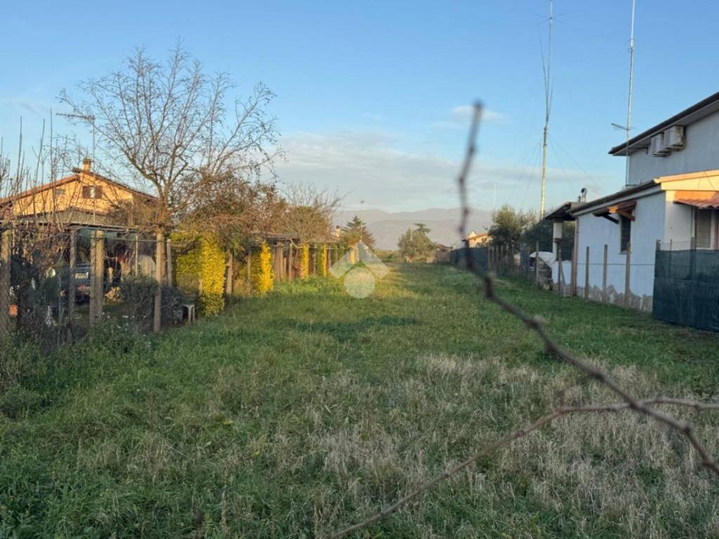 immagine annuncio 3 di 9