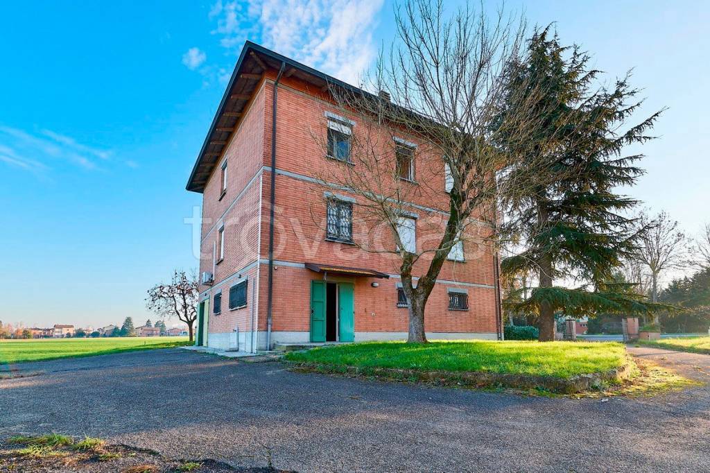 immagine annuncio 2 di 12