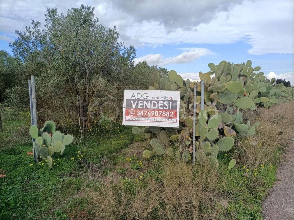 immagine annuncio 1 di 8