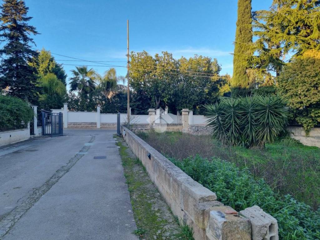 immagine annuncio 8 di 14