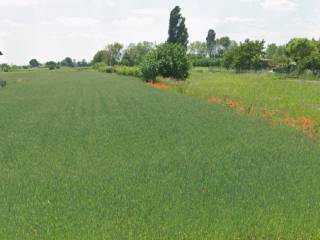 Terreno residenziale in vendita a trevignano via castellana