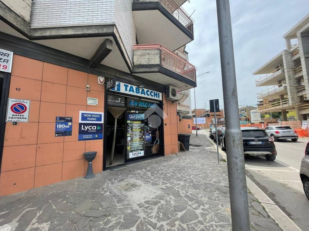 immagine annuncio 2 di 12