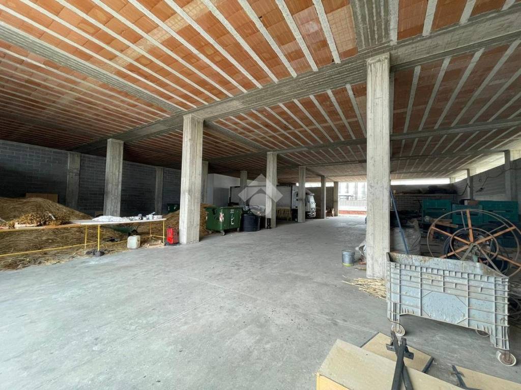 immagine annuncio 9 di 14