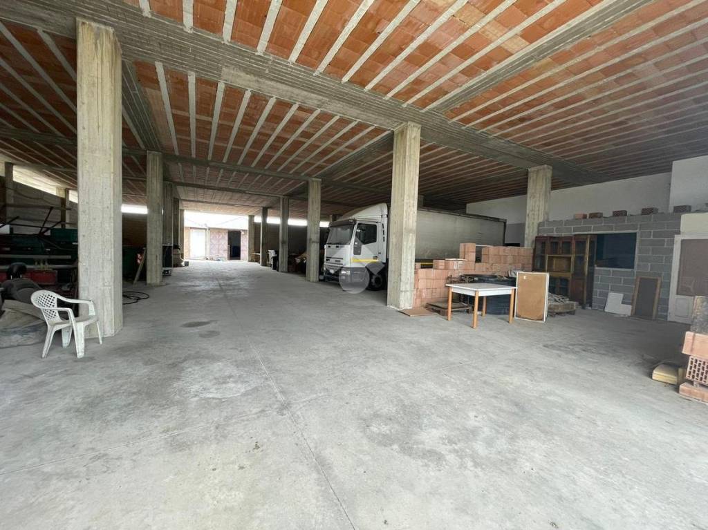 immagine annuncio 7 di 14