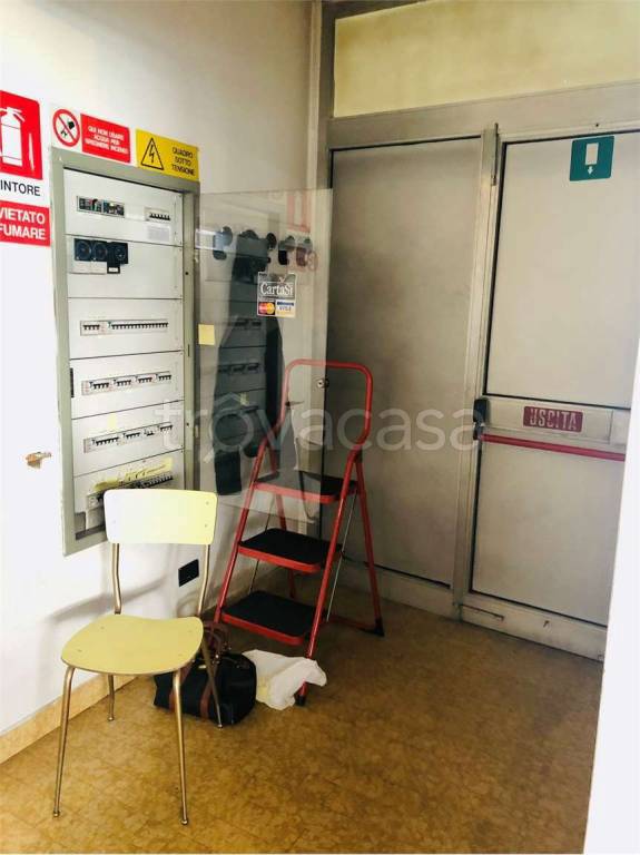 immagine annuncio 6 di 11