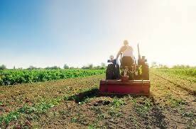 Terreno agricolo in vendita a san tammaro ss7bis