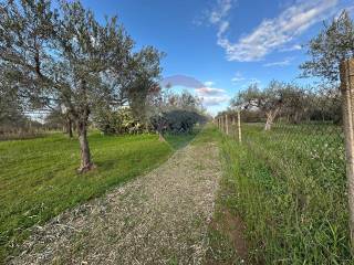 Terreno agricolo in vendita a chiaramonte gulfi 6 sp3