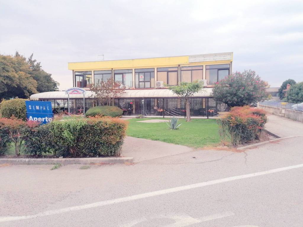 immagine annuncio 3 di 11