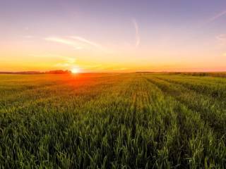 Terreno agricolo in vendita a codigoro via alessandro manzoni, 6