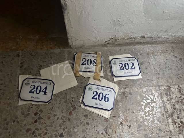 immagine annuncio 10 di 12