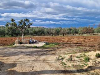 Terreno agricolo in vendita a trani strada carrara dei monaci