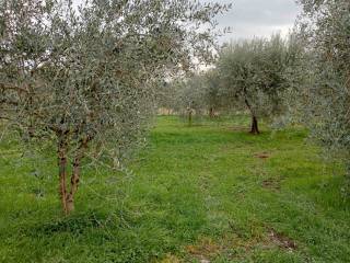 Terreno residenziale in vendita a moniga del garda 