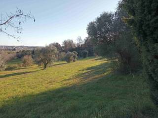 Terreno agricolo in vendita a moniga del garda 