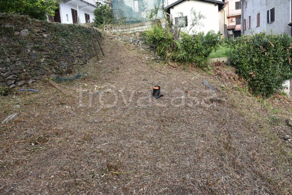 immagine annuncio 4 di 7