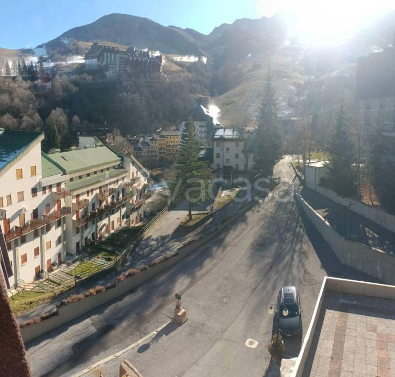 immagine annuncio 7 di 13