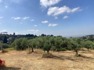 Terreno agricolo in vendita a velletri via dei genzanesi