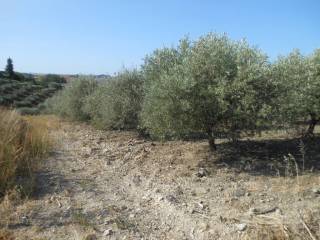 Terreno agricolo in vendita a caltanissetta contrada favarella