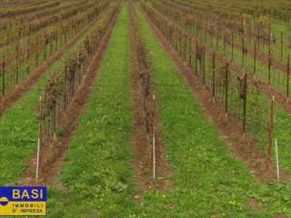 Terreno agricolo in vendita ad asolo 