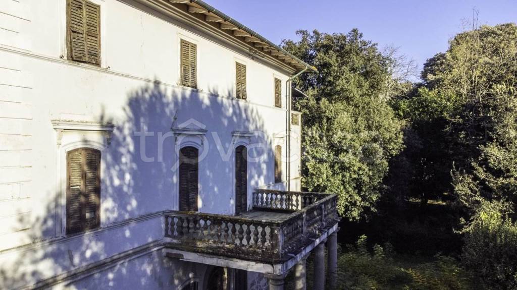 immagine annuncio 3 di 7