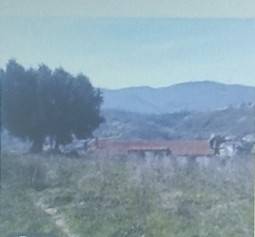 Terreno agricolo all'asta a montalto uffugo via san pietro, 87046 montalto uffugo cs, italia