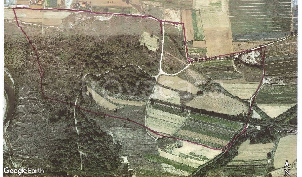 immagine annuncio 1 di 2