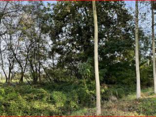 Terreno agricolo all'asta a robecchetto con induno sp127